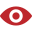 Eye Icon